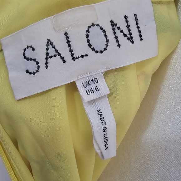 SALONI - Holly Midi Dress, SZ 6 - Picture 14 of 15